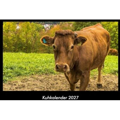 Becker Kuhkalender 2027 Fotokalender DIN A3: Monatskalender mit Bild-Motiven von Haustieren, Bauernhof, wilden Tieren und Raubtieren Becker Kuhkalender 2027 Fotokalender DIN A3: Monatskalender mit Bild-Motiven von Haustieren, Bauernhof, wilden Tieren und Raubtieren