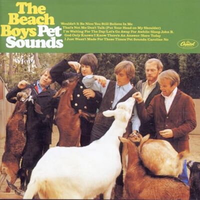 The Beach Boys Pet Sounds The Beach Boys Pet Sounds