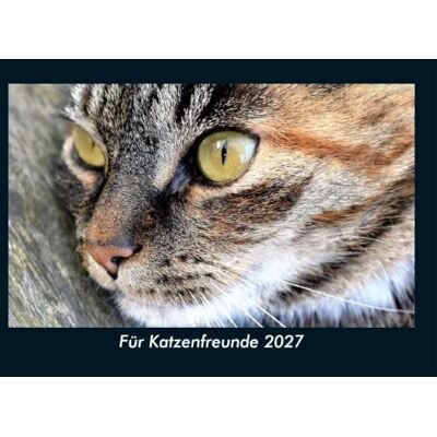 Schmitt, Tobias Für Katzenfreunde 2027 Fotokalender DIN A5: Monatskalender mit Bild-Motiven von Haustieren, Bauernhof, wilden Tieren und Raubtieren Schmitt, Tobias Für Katzenfreunde 2027 Fotokalender DIN A5: Monatskalender mit Bild-Motiven von Haustieren, Bauernhof, wilden Tieren und Raubtieren