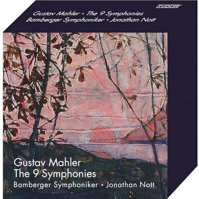 Bamberger Symphoniker The 9 Symphonies Bamberger Symphoniker The 9 Symphonies