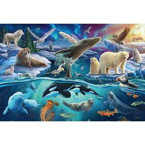 Schmidt Spiele Animales en el Ártico, Puzzle Infantil de 150 Piezas, Estampado, Multicolor Schmidt Spiele Animales en el Ártico, Puzzle Infantil de 150 Piezas, Estampado, Multicolor