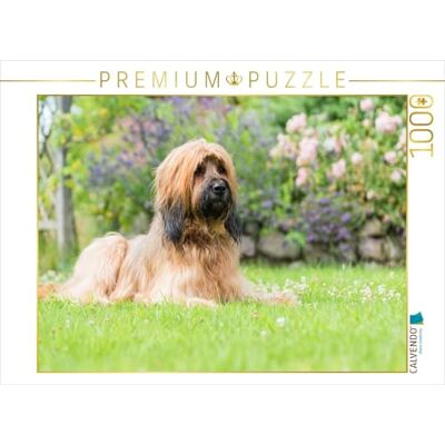 CALVENDO Puzle Horizontal de 1000 Piezas de Briard-Portrait. CALVENDO Puzle Horizontal de 1000 Piezas de Briard-Portrait.