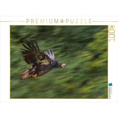 Calvendo Puzzle de águila de 1000 Piezas, 1000 Piezas, 64 x 48 cm, para Horas Felices Calvendo Puzzle de águila de 1000 Piezas, 1000 Piezas, 64 x 48 cm, para Horas Felices