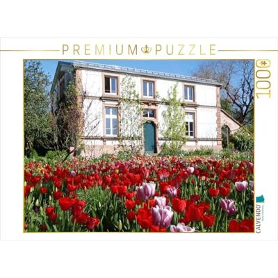 CALVENDO Puzle de Flores de Tulipanes en el jardín de avistamiento Hermannshof en Weinheim, 1000 Piezas, tamaño 64 x 48 cm, puzle de Fotos para Horas Felices CALVENDO Puzle de Flores de Tulipanes en el jardín de avistamiento Hermannshof en Weinheim, 1000 Piezas, tamaño 64 x 48 cm, puzle de Fotos para Horas Felices