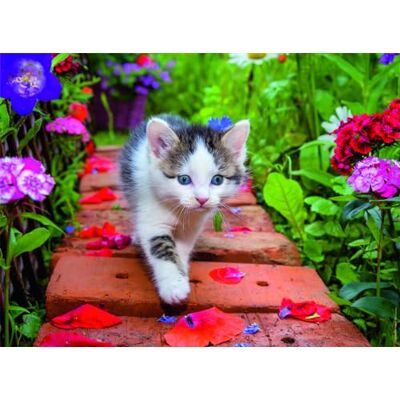 NATHAN Puzle de 500 Piezas Gatito en el jardín Adultos y niños a Partir de 12 años Puzle Ajuste Colección Tendresse NATHAN Puzle de 500 Piezas Gatito en el jardín Adultos y niños a Partir de 12 años Puzle Ajuste Colección Tendresse