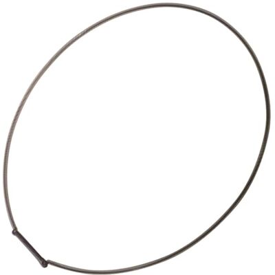 Bauknecht Whirlpool 481249218028 C00312650 Anillo tensor para puerta (resortes de fijación, resortes de fijación, para lavadora, también Privileg Quelle Indesit Ignis Bauknecht Whirlpool 481249218028 C00312650 Anillo tensor para puerta (resortes de fijación, resortes de fijación, para lavadora, también Privileg Quelle Indesit Ignis