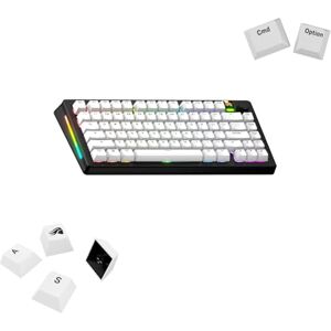 GLORIOUS Gaming Teclas GPBT Basics en PBT, 8 colores, Classic White, sublimación de pintura, para teclados mecánicos personalizables de formatos 100%,75%,65% y 60%,distribución QWERTY estadounidense GLORIOUS Gaming Teclas GPBT Basics en PBT, 8 colores, Classic White, sublimación de pintura, para teclados mecánicos personalizables de formatos 100%,75%,65% y 60%,distribución QWERTY estadounidense
