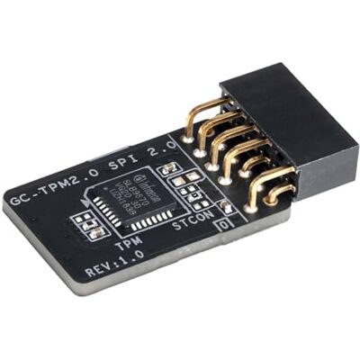 Gigabyte Dispositivo de cifrado de Datos Interno, GC-TPM20SPI20 Gigabyte Dispositivo de cifrado de Datos Interno, GC-TPM20SPI20
