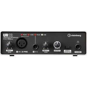 Steinberg UR12 - Interfaces de audio USB, plata