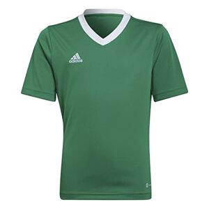 Adidas ENT22 JSY Y T-Shirt, Team Green/White, 5-6A Unisex Kids