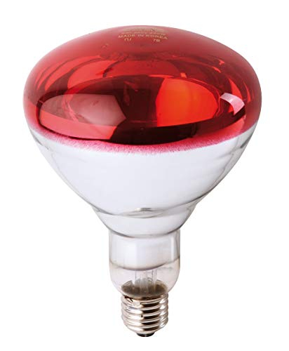 Philips Lighting Infrared Industrial Lámpara Reflectora Incandescente de Infrarrojo, Rojo, 150 W