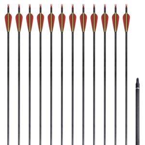 vidaXL Flechas de carbono para arco recurvo estándar, 30