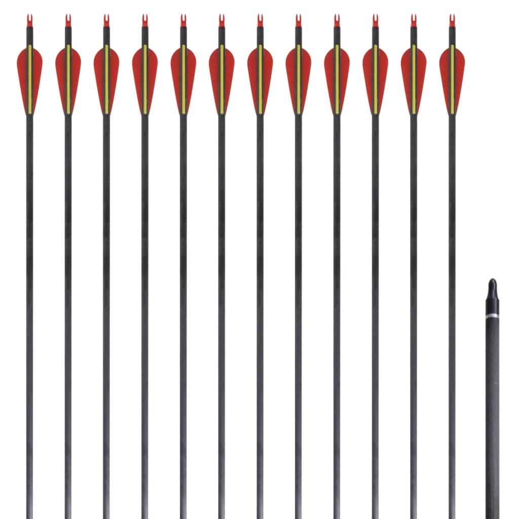 vidaXL Flechas de carbono para arco recurvo estándar, 30" 0,76 cm, 12 pzas