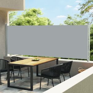 vidaXL Toldo lateral retráctil de jardín gris 160x600 cm