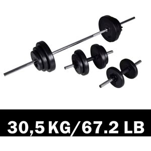 vidaXL Juego de barras + 2 mancuernas 30,5kg