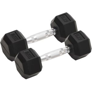 vidaXL Mancuernas 2 unidades hierro fundido 8 kg