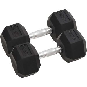 vidaXL Mancuernas 2 unidades hierro fundido 25 kg