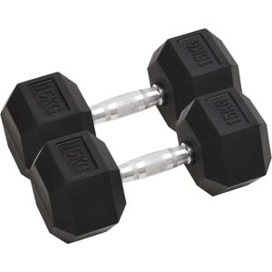 vidaXL Mancuernas 2 unidades hierro fundido 30 kg