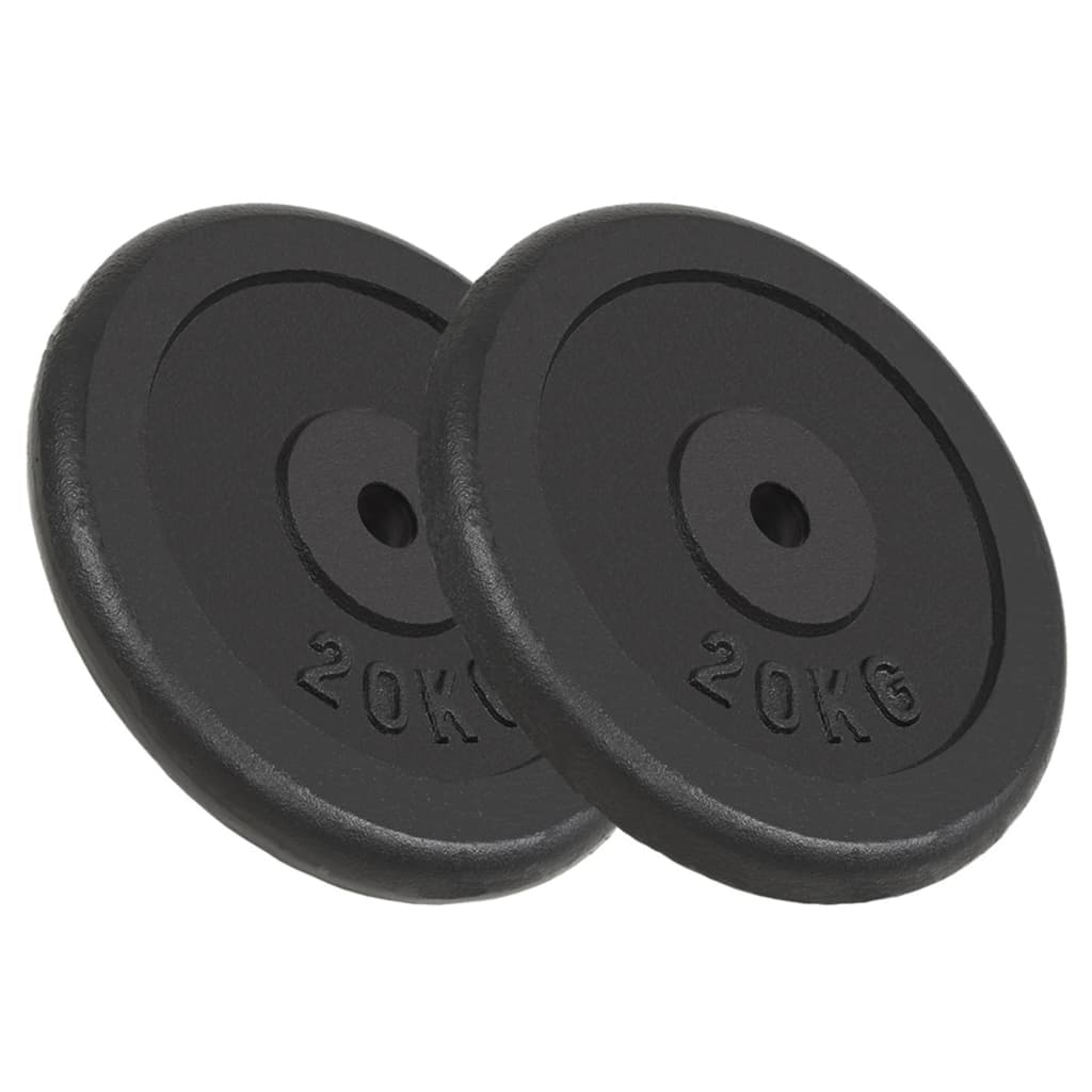 vidaXL Discos de pesas de hierro fundido 2 uds 2x20 kg