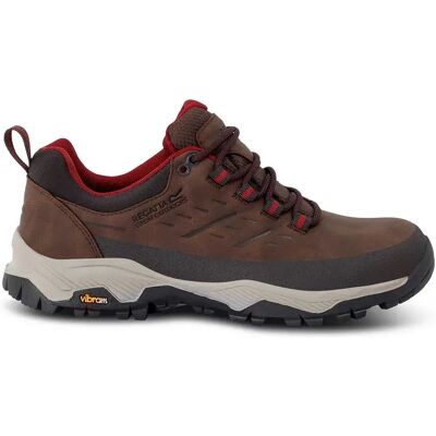 Regatta Zapatillas De Senderismo Blake Low Chestnut / Dark Pimento EU 37 Regatta Zapatillas De Senderismo Blake Low Chestnut / Dark Pimento EU 37