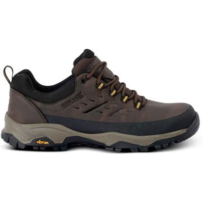 Regatta Zapatillas De Senderismo Blake Low Peat / Wood EU 46 Regatta Zapatillas De Senderismo Blake Low Peat / Wood EU 46