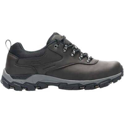 Regatta Zapatillas De Senderismo Holcombe Classic Low Peat EU 47 Regatta Zapatillas De Senderismo Holcombe Classic Low Peat EU 47