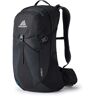 Gregory Citro Rc Backpack 24l Negro