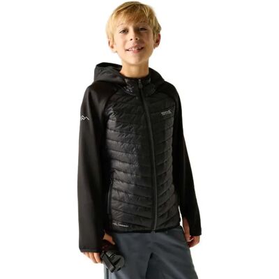 Regatta Chaqueta Andreson Black / Sealgr 7-8 Años Regatta Chaqueta Andreson Black / Sealgr 7-8 Años