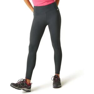 Regatta Pantalones Holeen Pro Compress Seal Grey 42 Regatta Pantalones Holeen Pro Compress Seal Grey 42