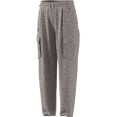 Adidas Pantalones Terrex Xploric Clima365 Cargo Wonder Alumina / Wonder Taupe / Trace Brown L Adidas Pantalones Terrex Xploric Clima365 Cargo Wonder Alumina / Wonder Taupe / Trace Brown L