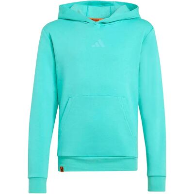 Adidas Sudadera Con Capucha Minecraft Terrex Semi Mint Rush 13-14 Años Adidas Sudadera Con Capucha Minecraft Terrex Semi Mint Rush 13-14 Años