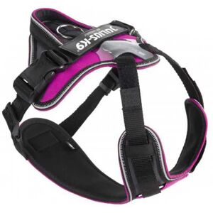 Julius K-9 Arnés Para Perros Idc® Longwalk Pink / Gray L Julius K-9 Arnés Para Perros Idc® Longwalk Pink / Gray L