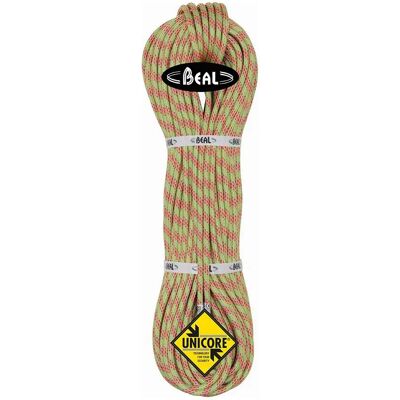 Beal Cuerda Ice Line Golden Dry 8.1 Mm 2 Unidades Anis / Orange 50 m Beal Cuerda Ice Line Golden Dry 8.1 Mm 2 Unidades Anis / Orange 50 m