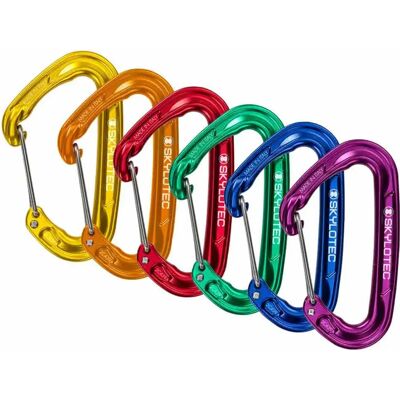 Skylotec Mosquetón Fly-weight Evo-6 Pack 6 Unidades Assorted Colors One Size Skylotec Mosquetón Fly-weight Evo-6 Pack 6 Unidades Assorted Colors One Size
