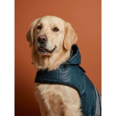 VERTBAUDET Abrigo impermeable para perro azul pizarra VERTBAUDET Abrigo impermeable para perro azul pizarra
