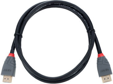 Lindy HDMI 2.0 Typ A 1m Negro