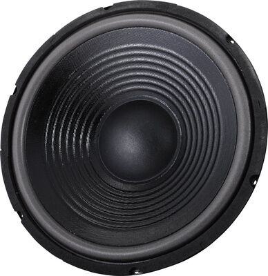 the box 12" Speaker for TT305-H