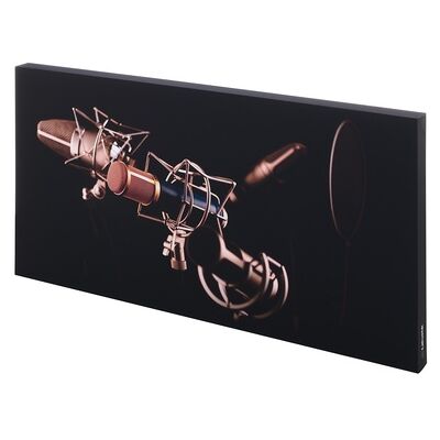 t.akustik Print Panel Mic Check t.akustik Print Panel Mic Check