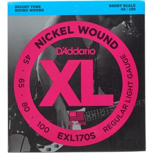 Daddario EXL170S