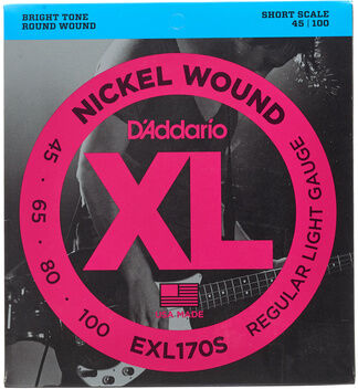 Daddario EXL170S