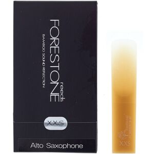 Forestone Alto Saxophone XXS