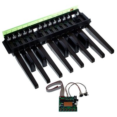 Doepfer MBP25 Electronic with 1 Pedal Doepfer MBP25 Electronic with 1 Pedal