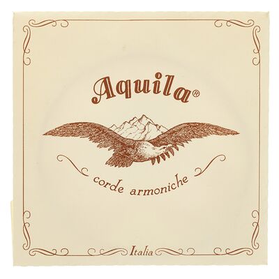 Aquila 145D Wound Nylgut Lute String Aquila 145D Wound Nylgut Lute String
