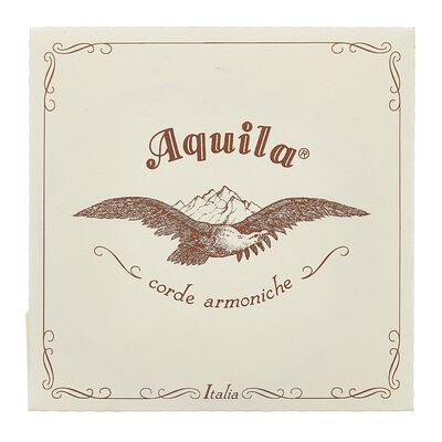 Aquila 175D Wound Nylgut Lute String Aquila 175D Wound Nylgut Lute String
