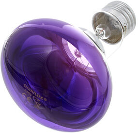 Omnilux R80 Lamp E27 Violet Omnilux R80 Lamp E27 Violet