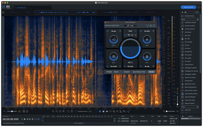 iZotope RX 10 Advanced Crossgrade