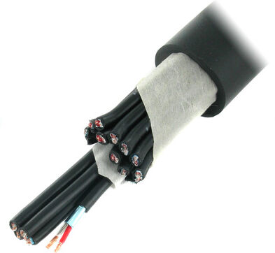 the sssnake MP20S the sssnake MP20S