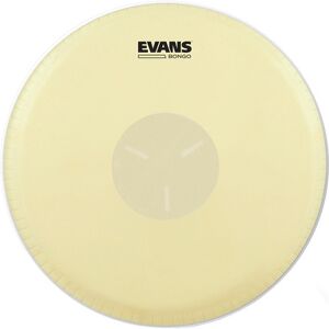 Evans EB07 7 1/4