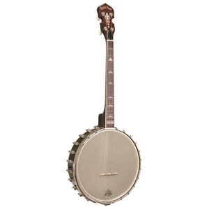 Gold Tone Irish Tenor Banjo 11