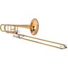 Sierman ST-81G Bass Trombone